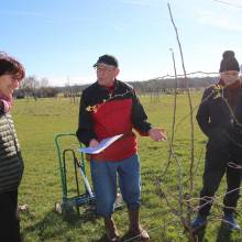 Apprentissage de la taille des arbres fruitiers, Plaine de Chevincourt