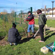 Apprentissage de la taille des arbres fruitiers, Plaine de Chevincourt