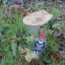 A travers l’objectif d’un appareil photo, ils auront à saisir l’atmosphère de plusieurs univers, en mettant en scène pour cette nouvelle édition, des silhouettes d’animaux de la forêt. 