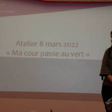 Ma cour passe au vert : atelier participatif 