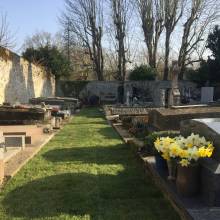 « Mon cimetière passe au vert » suite et fin !