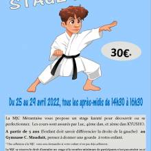 Stages04mjcmerantaise