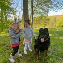Chasse aux œufs dans le parc du Musée national de Port-Royal des Champs