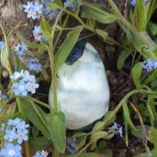 Chasse aux œufs dans le parc du Musée national de Port-Royal des Champs