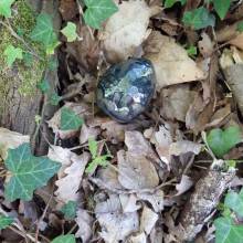 Chasse aux œufs dans le parc du Musée national de Port-Royal des Champs