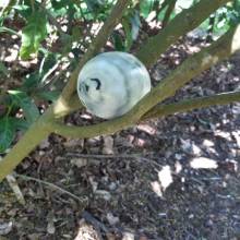 Chasse aux œufs dans le parc du Musée national de Port-Royal des Champs