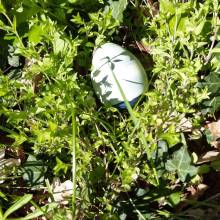 Chasse aux œufs dans le parc du Musée national de Port-Royal des Champs
