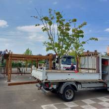Des pergolas dans la cour d'école André Gide Primaire