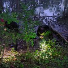 Je croa...sse que l'on m'observe !