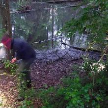 Je croa...sse que l'on m'observe !