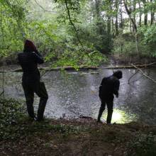 Je croa...sse que l'on m'observe !