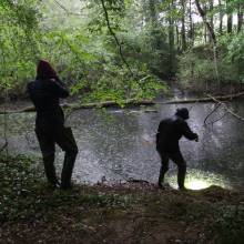 Je croa...sse que l'on m'observe !