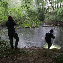 Je croa...sse que l'on m'observe !