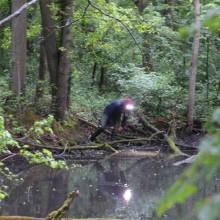 Je croa...sse que l'on m'observe !