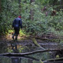 Je croa...sse que l'on m'observe !