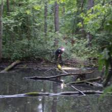 Je croa...sse que l'on m'observe !