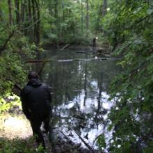 Je croa...sse que l'on m'observe !