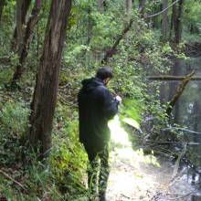 Je croa...sse que l'on m'observe !