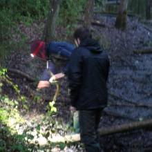 Je croa...sse que l'on m'observe !