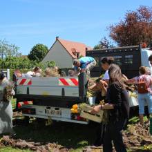 Distribution gratuite de fleurs 