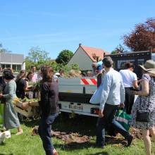 Distribution gratuite de fleurs 