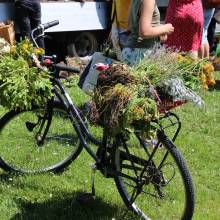 Distribution gratuite de fleurs 