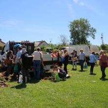 Distribution gratuite de fleurs 
