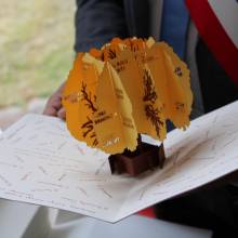 Cérémonie du 8 mai 1945