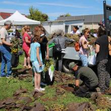 Distribution gratuite de fleurs 