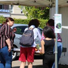 Distribution gratuite de fleurs 