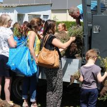 Distribution gratuite de fleurs 