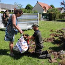 Distribution gratuite de fleurs 