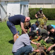 Distribution gratuite de fleurs 