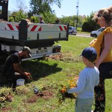 Distribution gratuite de fleurs 
