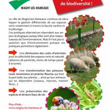 La gestion différenciée : des pratiques alternatives qui répondent aux enjeux écologiques