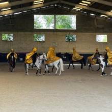 Les écuries de la vallée de Chevreuse organisaient leurs portes ouvertes le samedi 18 juin