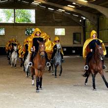 Les écuries de la vallée de Chevreuse organisaient leurs portes ouvertes le samedi 18 juin