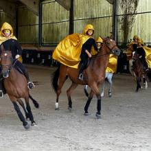 Les écuries de la vallée de Chevreuse organisaient leurs portes ouvertes le samedi 18 juin
