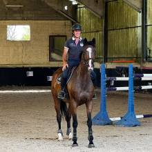 Les écuries de la vallée de Chevreuse organisaient leurs portes ouvertes le samedi 18 juin