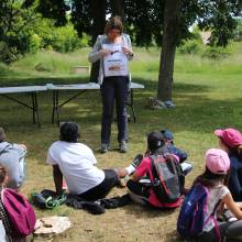 Passeport du civisme : action autour de l'environnement