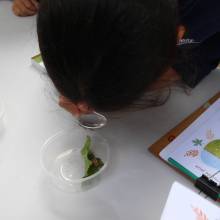 Passeport du civisme : action autour de l'environnement