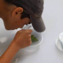 Passeport du civisme : action autour de l'environnement