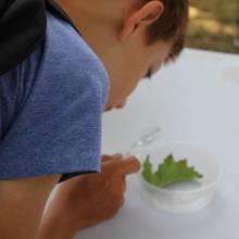 Passeport du civisme : action autour de l'environnement