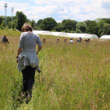 Passeport du civisme : action autour de l'environnement