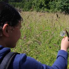 Passeport du civisme : action autour de l'environnement