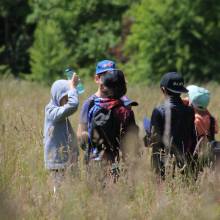 Passeport du civisme : action autour de l'environnement