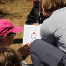 Passeport du civisme : action autour de l'environnement