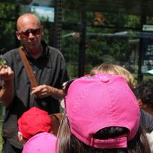 Découverte des plantes sauvages comestibles