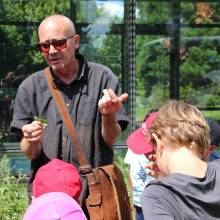 Découverte des plantes sauvages comestibles