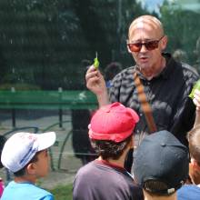 Découverte des plantes sauvages comestibles